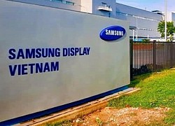 Samsung Display ngừng kinh doanh màn hình LCD từ ngày 1.6