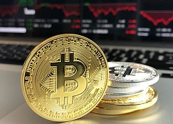 Bitcoin tiếp tục lao dốc, cả những coin tiềm năng nhất cũng lao theo