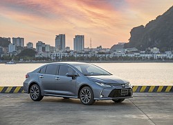 Corolla Altis - bạn đồng hành hữu dụng trong ngày hè sôi động