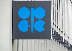 Kuwait khẳng định OPEC+ sẽ đảm bảo ổn định thị trường dầu mỏ