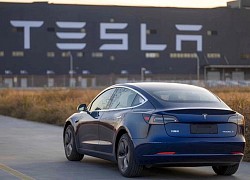 Lần thứ 10 trong năm 2022, Tesla phải triệu hồi xe