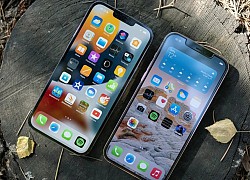 Màn hình iPhone 13 dính lỗi, Apple buộc dừng hợp tác với nhà sản xuất này