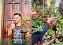 Ông bố chuyên đi lang thang "nhặt cây đào rác" về làm bonsai kiếm bạc triệu, đòi mua nguyên cả căn nhà chỉ để nhổ mỗi mầm cây mọc trên tường!