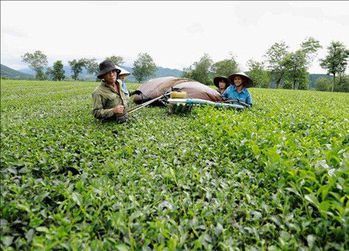 Phát triển vùng vì cả nước - Bài 1: Phát huy cao nhất tiềm năng, lợi thế vùng