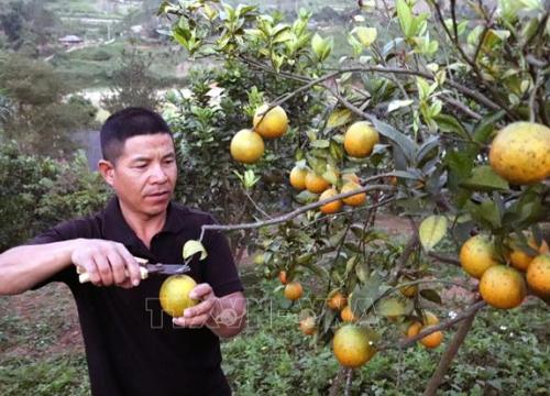 Phát triển vùng vì cả nước - Bài cuối: Tư duy đổi mới, tầm nhìn dài hạn