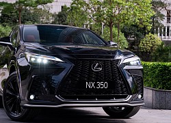 Sau Toyota, đến lượt Lexus phải triệu hồi vì lỗi ụ bắt giảm xóc trước