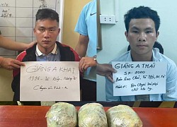 Thuê em trai vận chuyển gần 3 bánh heroin và 2,5kg thuốc phiện