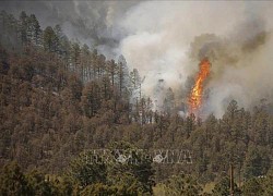 Tổng thống Mỹ tuyên bố tình trạng thảm họa tại bang New Mexico do cháy rừng