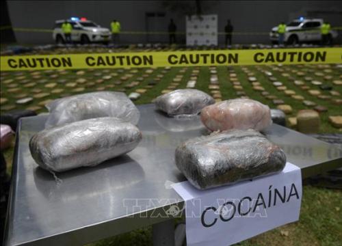 Châu Âu, thị trường tinh chế cocaine béo bở của các cartel Nam Mỹ