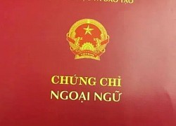 Chứng chỉ ngoại ngữ, tin học - giấy phép con 'giam' bằng đại học của sinh viên