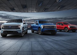 Đại lý Ford bán F-150 Lightning trưng bày có thể bị phạt nặng