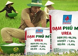 Giá phân bón hôm nay 8/5: Tiếp tục đi ngang