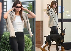 Kendall Jenner nhuộm tóc mới, để mặt mộc xinh đẹp dắt thú cưng đi dạo