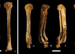 Phát hiện hài cốt phụ nữ có niên đại 3.000 năm, nhóm nghiên cứu hé lộ danh tính gây ngỡ ngàng qua đúng một chi tiết ở bàn chân