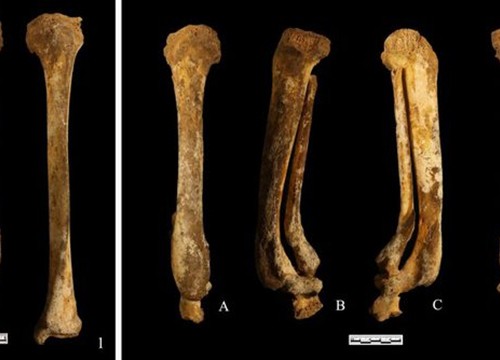 Phát hiện hài cốt phụ nữ có niên đại 3.000 năm, nhóm nghiên cứu hé lộ danh tính gây ngỡ ngàng qua đúng một chi tiết ở bàn chân