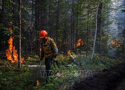 Cháy rừng nghiêm trọng ở Siberia (Nga): Ít nhất 10 người thiệt mạng