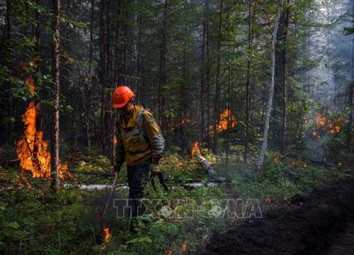 Cháy rừng nghiêm trọng ở Siberia (Nga): Ít nhất 10 người thiệt mạng