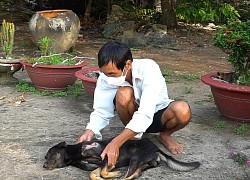 Cà Mau: Người dân hoang mang vì trộm chó lộng hành vùng nông thôn H.Trần Văn Thời