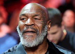 Công bố kết quả điều tra vụ Mike Tyson đấm hành khách trên máy bay Mỹ