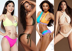 Dàn mỹ nhân Hoa hậu Hoàn vũ đọ dáng với bikini