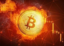 Giá Bitcoin hôm nay 10/5: Chìm trong biển lửa, bốc hơi trăm tỷ USD