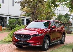 Mazda CX-8 mới giá từ 1 tỷ đồng, đua trang bị cạnh tranh Toyota Fortuner