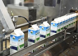 Mộc Châu Milk (MCM) chia tiếp cổ tức năm 2021 bằng tiền tỷ lệ 15%