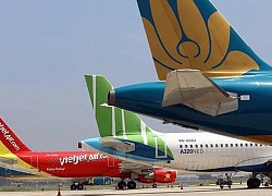 Một số công ty dịch vụ có lợi nhuận tươi sáng trở lại, 2 tân binh Bamboo Airways và Vietravel Airlines dự tính vẫn lỗ lớn trong quý 1