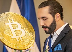 Tổng thống El Salvador khoe lời gần 1 triệu USD nhờ bắt đáy Bitcoin