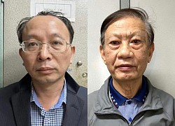 Cựu Thứ trưởng Cao Minh Quang sai phạm sao trong vụ mua thuốc cúm H5N1?