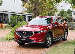 Dồn dập xe gầm cao ra mắt, xe Trung Quốc chiếm lợi thế siêu rẻ