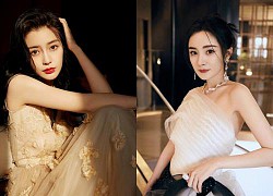 Dương Mịch, Angela Baby đua nhau nên duyên cùng đàn em, dân mạng phản ứng ra sao?