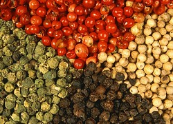 Giá tiêu hôm nay 15/5: Thị trường ảm đạm, nhiều yếu tố tiêu cực