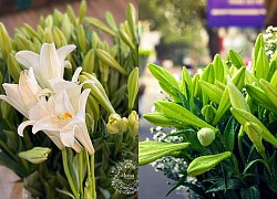 Hoa loa kèn vào mùa giá hạ nhiệt, "chợ mạng" rao bán chỉ từ 49k/50 bông