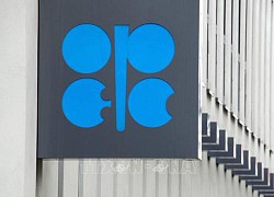 OPEC điều chỉnh giảm dự báo kinh tế và nhu cầu dầu mỏ thế giới
