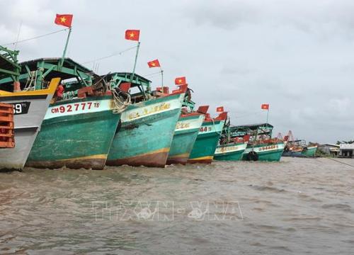 Thay thế Nghị định 67 - Bài cuối: Thêm chính sách hiệu quả