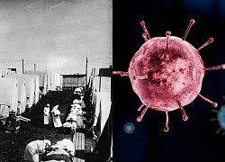Virus cúm mùa có thể bắt nguồn từ virus cúm Tây Ban Nha 1918