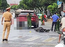 Vụ nữ tài xế vừa livestream vừa lái xe tông chết nữ sinh ở Lâm Đồng: Tài xế chưa có bằng lái