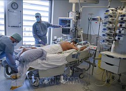 WHO: Số bệnh nhân COVID-19 tử vong tại châu Âu vượt 2 triệu ca