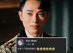 &quot;Muốn khóc quá đi&quot; - Trúc Nhân nói về MV No.1 Trending sau 5 ngày &quot;vật lộn&quot; trên Top như thế!