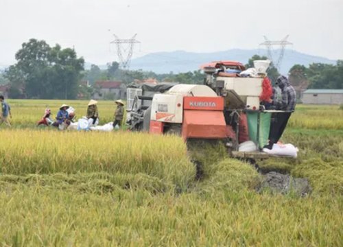 Cách làm hay ở Yên Thành để tránh bảo kê máy gặt