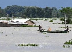 Mưa lũ hoành hành bang Đông Bắc Ấn Độ