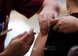 Nghiên cứu: Vaccine cúm cũng có khả năng ngừa virus SARS-CoV-2