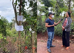 Sốt đất Tây Nguyên vừa cắt, lộ ra loạt chủ đất ngã ngửa vì mất trắng đất thổ cư dù chỉ giao dịch đất vườn