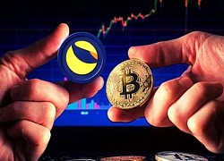 Tại sao Bitcoin liên tục lao dốc trong nửa đầu năm 2022?