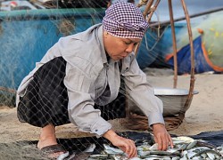 Việt Hương ngồi bán cá ở làng chài, diện mạo 'khắc khổ' khiến dân tình không ngừng bàn tán