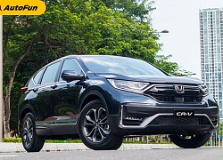 Honda CR-V tăng mạnh doanh số, đòi lại ngôi đầu phân khúc