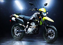 Ra mắt Kawasaki KLX300SM 2023: Supermoto giá rẻ, nhiều tính năng hiện