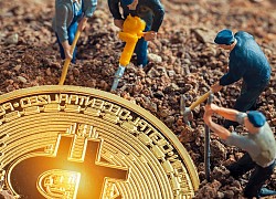 Trung Quốc trở thành trung tâm đào bitcoin lớn thứ hai thế giới nhờ việc "đào chui"