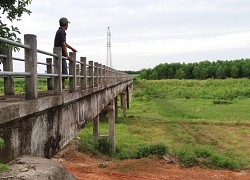 Sau cơn sốt, giới đầu tư 'ôm đất' thành ôm 'bom'